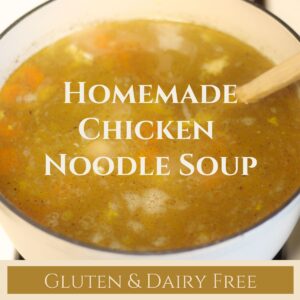homemade gluten & dairy free chicken noodle soup in Dutch oven