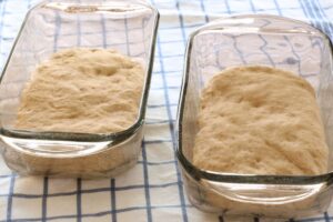 oatmeal bread dough in bread pans