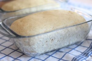dough risen in bread pan