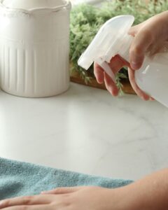 spray bottle pointed at countertops