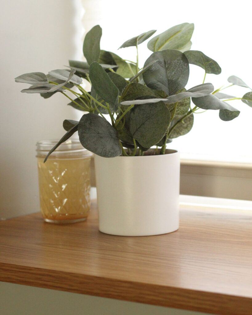 diy all natural air freshener on shelf next to plant